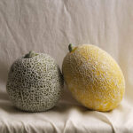 Fake Fruit Handmade Ceramic Apple Ceramic fruit decor