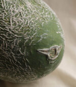Fake Fruit Handmade Ceramic Apple Ceramic fruit decor - Image 2