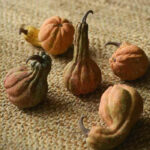Fake Fruit Handmade Ceramic Apple Ceramic fruit decor