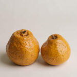 Fake Fruit Handmade Ceramic Apple Ceramic fruit decor