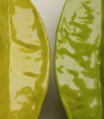 Fake Fruit Starfruit Ceramic Trompe l'oeil Fruit Decor - Image 2