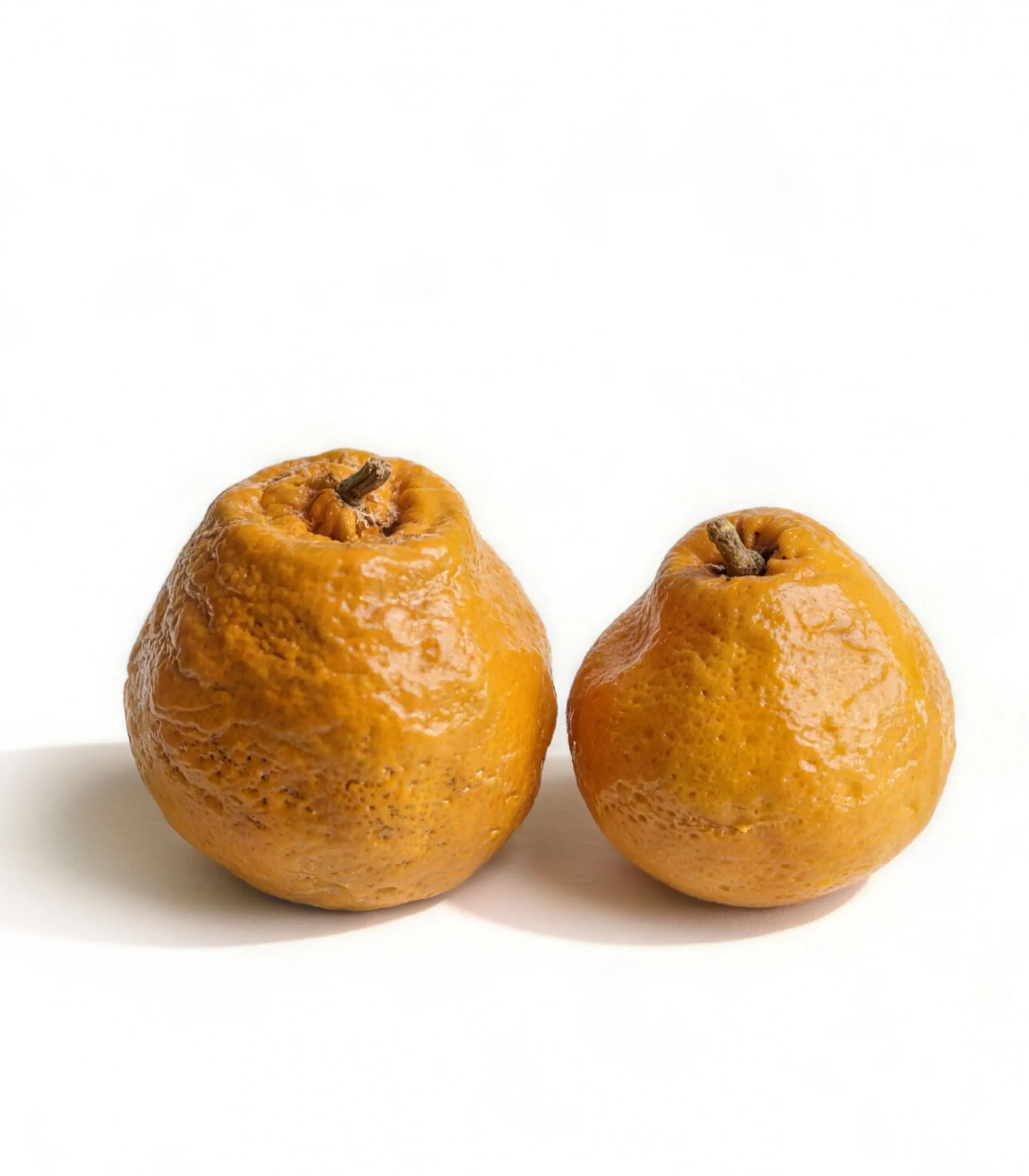 产品4-20 (1) Fake Fruit Orange Handmade Ceramic Coffee Table Decor Ideas - Image 1