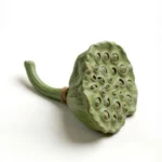 Fake Fruit Ceramic Lotus Pod Mantel Decor Ideas