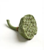 Fake Fruit Ceramic Lotus Pod Mantel Decor Ideas