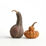 Table Centerpiece Ceramic Pumpkin Thanksgiving Table Decor
