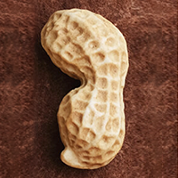 Big