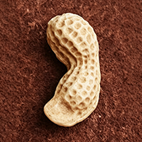 Small