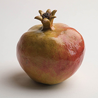 Diameter 10cm