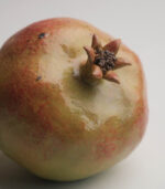 Fake Fruit Handmade Ceramic Apple Ceramic fruit decor - Image 4